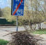 Сотрудники лыткаринских библиотек приняли участие в областном субботнике - ЦБС г. Лыткарино