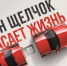 Жителям Лыткарино: соблюдайте правила дорожного движения - Администрация г. Лыткарино