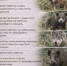 Информируем жителей - Администрация г. Лыткарино